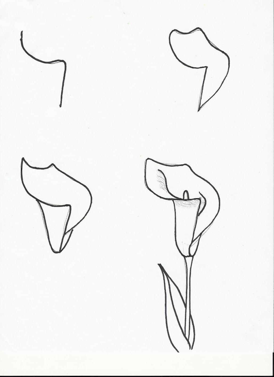 Qualquer pessoa pode desenhar flores: Tutorial de desenho passo-a-passo  fácil para crianças, adolescentes e iniciantes. Como aprender a desenhar  flores. Livro 1 (Guia do aspirante a artista 5) eBook : Smith, Julia