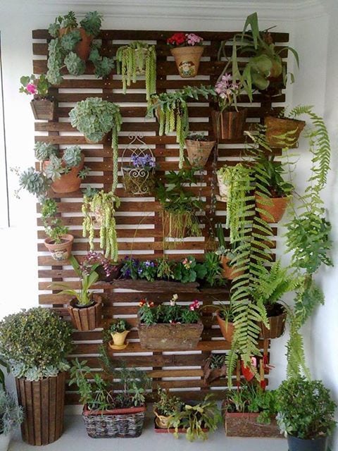 Jardim Artificial Vertical Barato na Decoração com Plantas reais