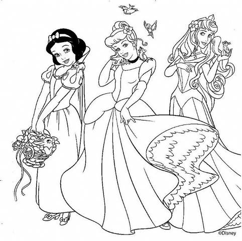 Desenhos para colorir princesas