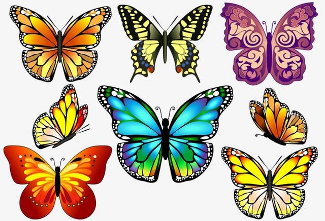 Desenho de borboleta colorida