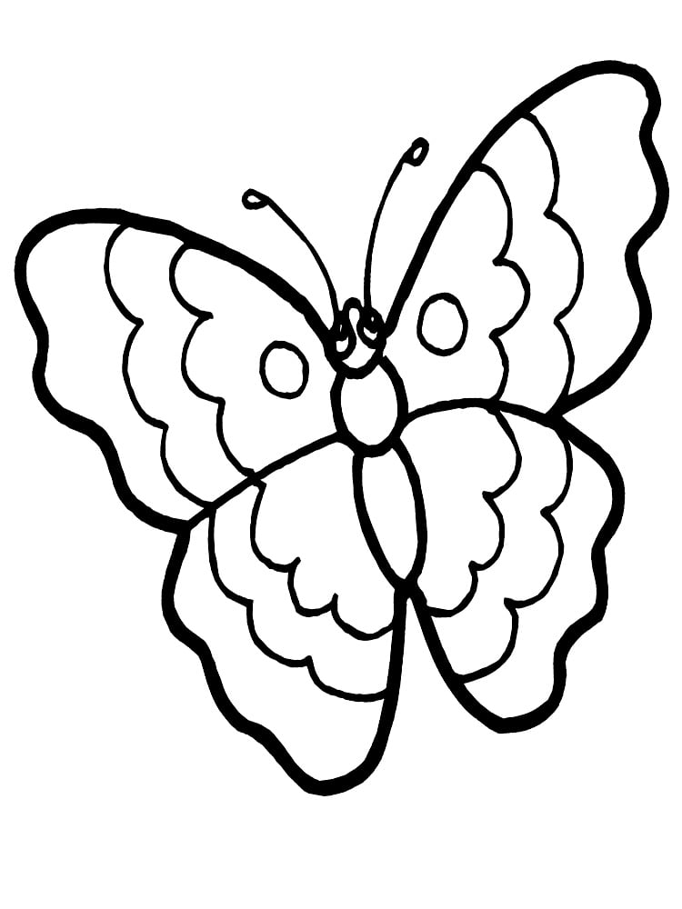 Desenho de borboleta moldes