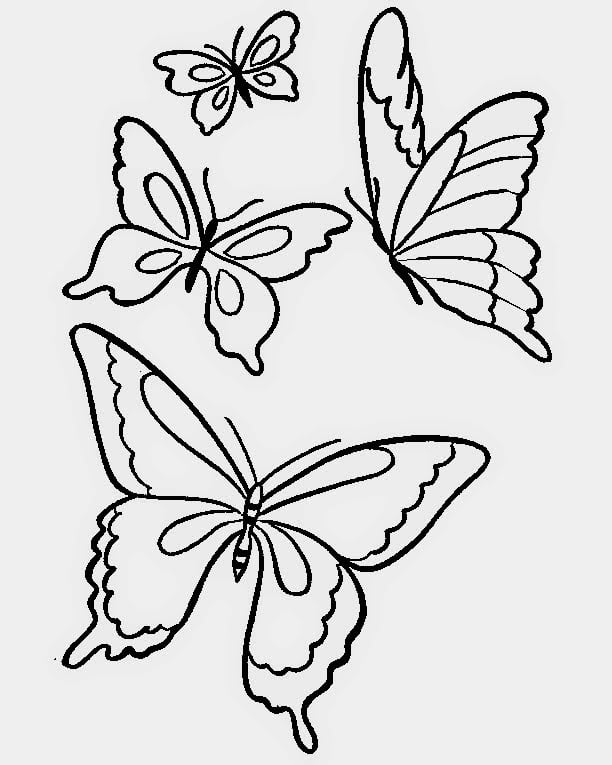 Desenho de borboleta voando