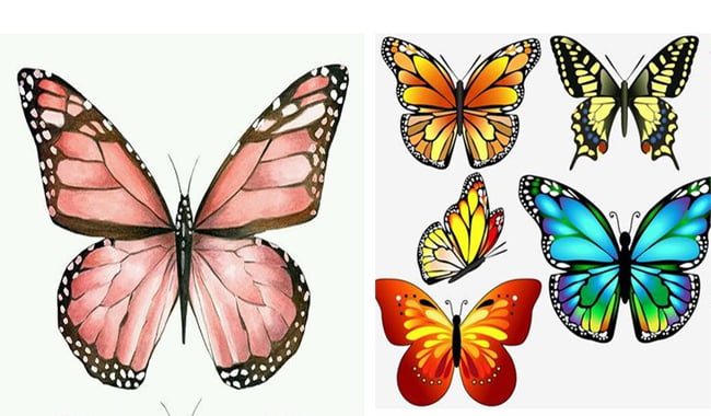 Desenho de borboleta