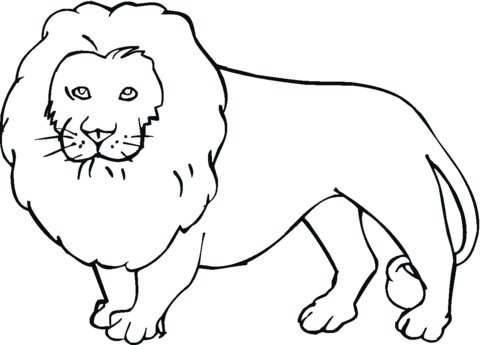 Desenhos infantis para colorir de animais
