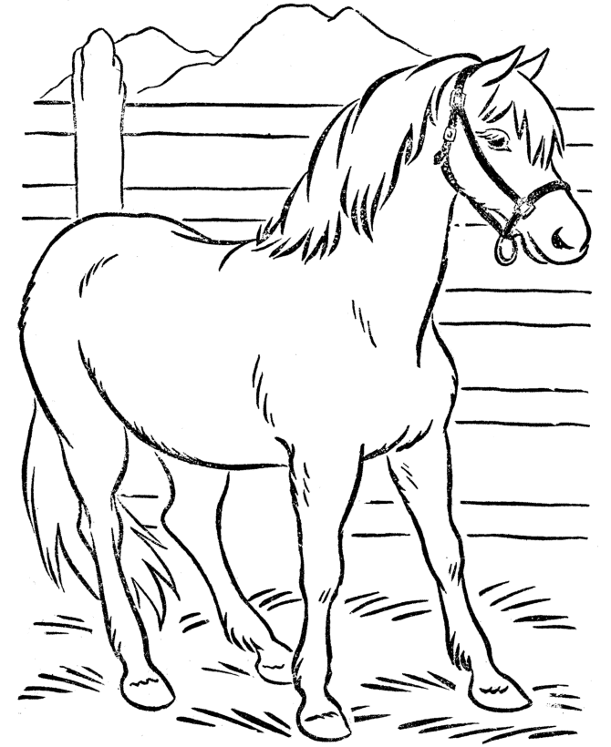 Desenho de cavalo spirit