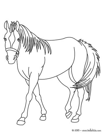 Desenho de cavalo para colorir