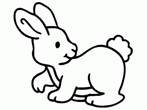Desenho de coelho