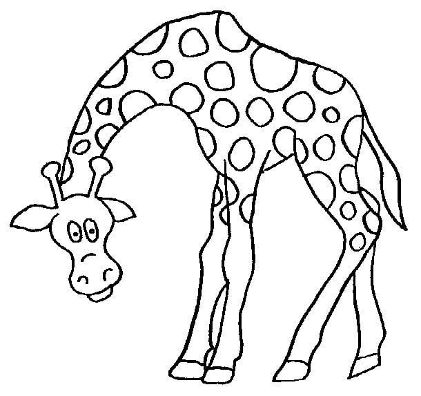 desenho de animais para colorir girafa