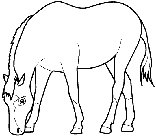 desenho de animais para colorir cavalo