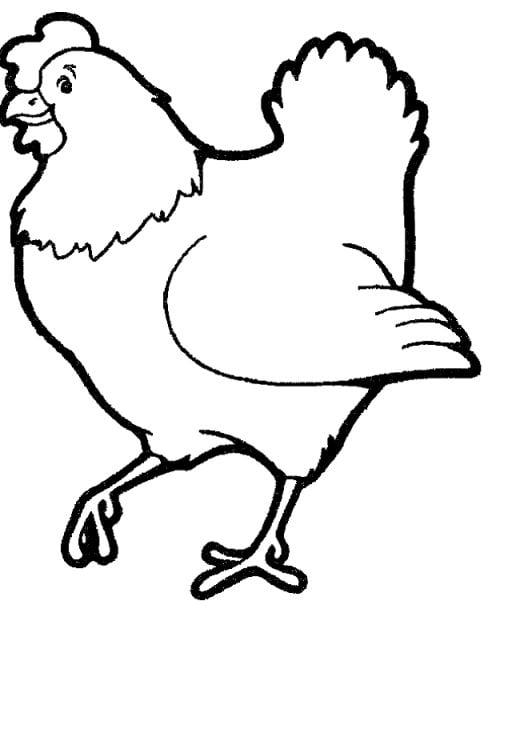 desenho de animais para colorir galinha