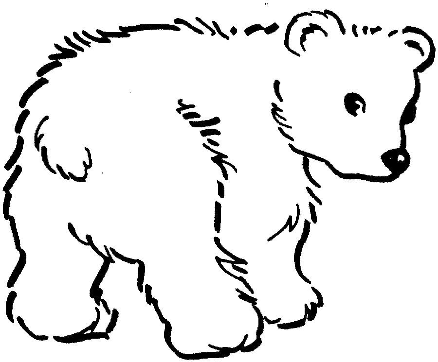 desenho de animais urso para colorir