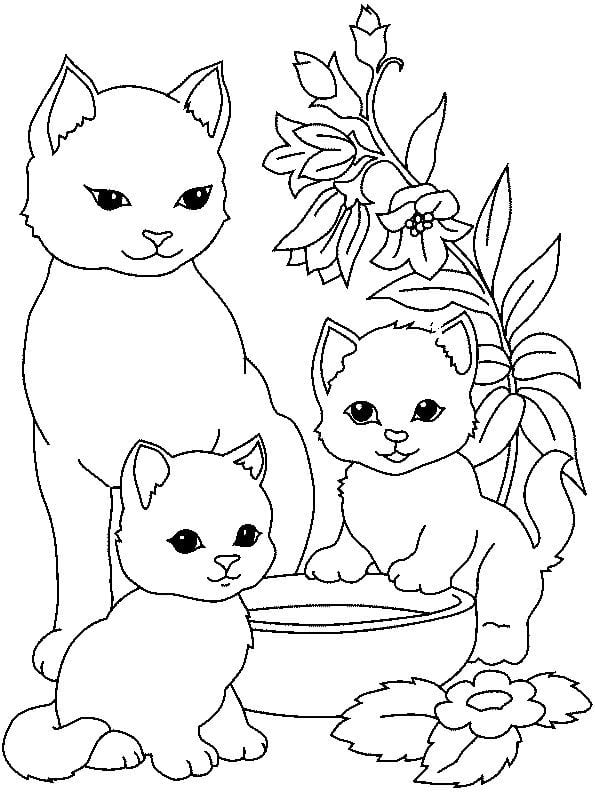 desenho de animais gatinhos com filhotes