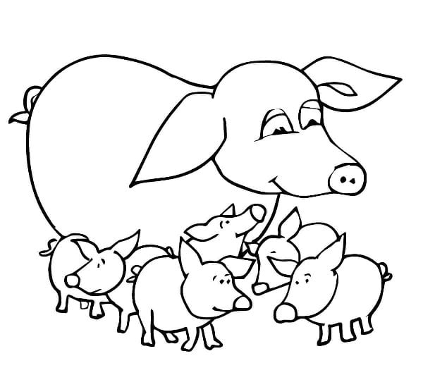 desenho de animais para recortar  - porco com seus porquinhos 