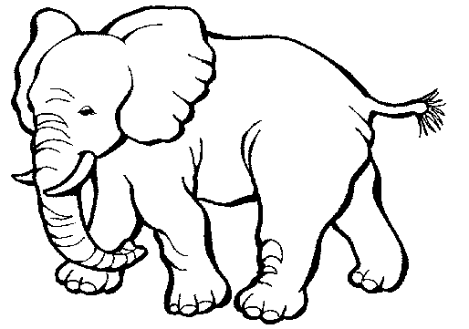 desenho de animais elefante adulto