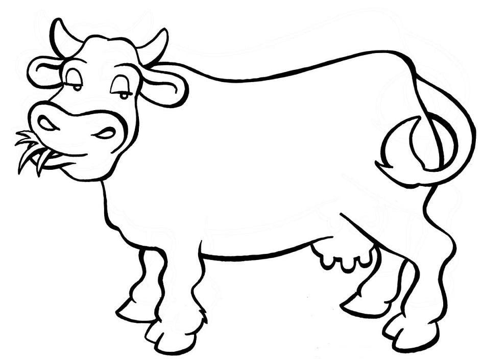 desenho de animais vaca para colorir