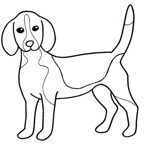 desenho de animais para imprimir cão