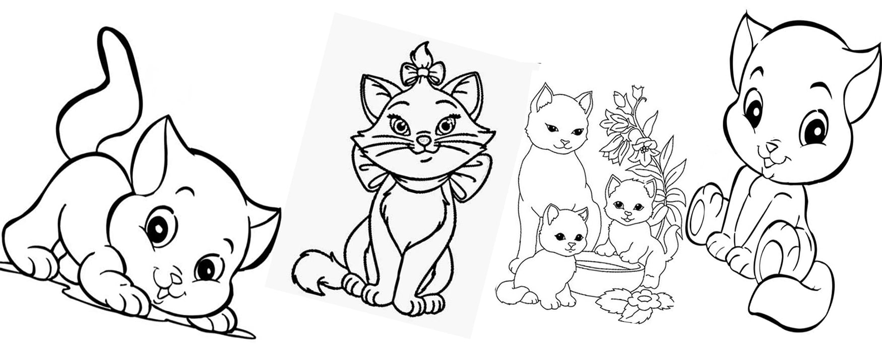 Desenho de Gato para colorir e Imagem de gatinhos, Moldes e Fotos