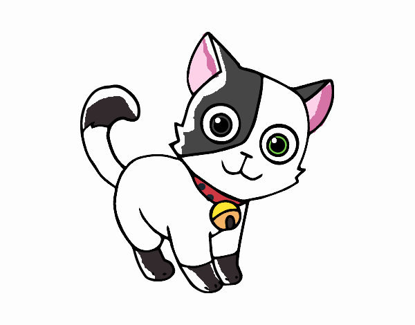 Desenho de gato imagem de gatinho com coleirinha e sininho.