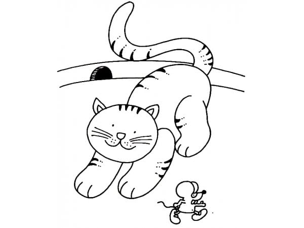 Desenho de gato e rato para colorir