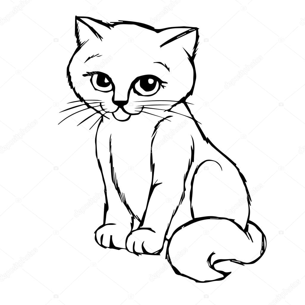 gatinho desenho - foto de gato