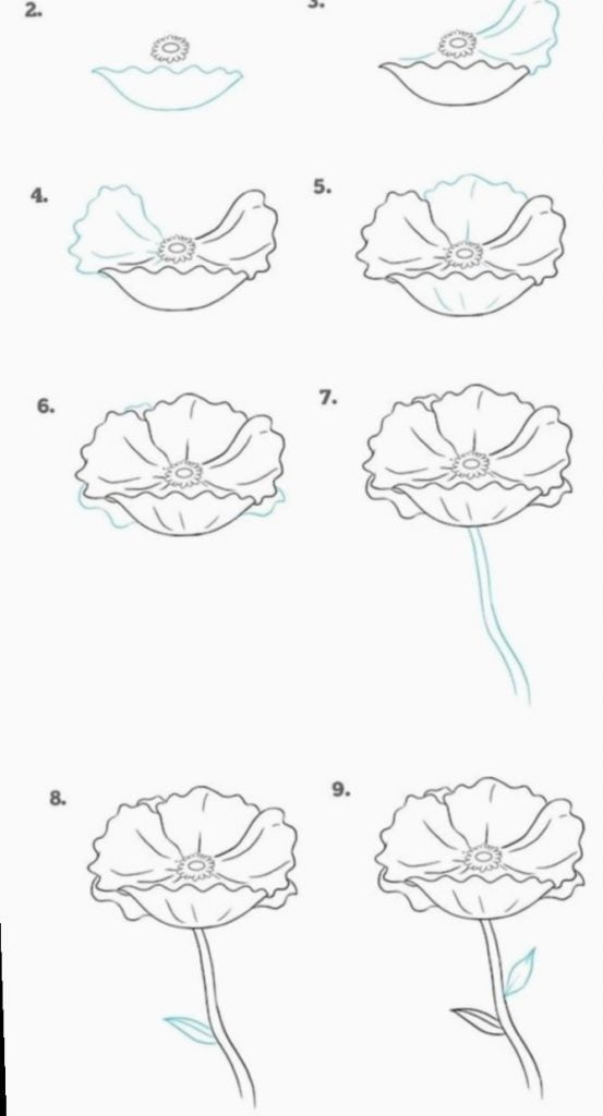 como se desenha uma flor