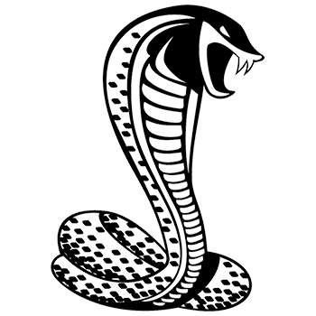 Featured image of post Cobra Naja Para Colorir E Imprimir La cobra india o cobra de anteojos naja naja es una especie de serpiente venenosa originaria del subcontinente indio