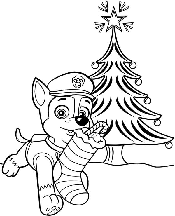 desenho animado patrulha canina natal