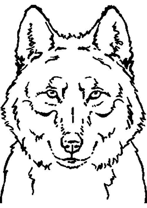cabeça de lobo para colorir e desenhar