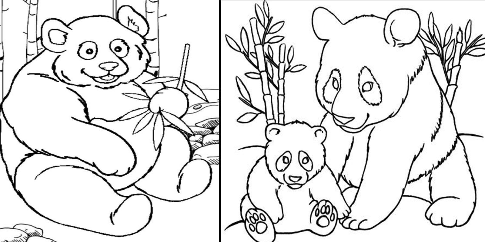 Featured image of post Kawaii Panda Kawaii Desenhos Para Desenhar Facil Como desenhar urso panda fofo e f cil kawaii desenhoparadesenhar pandapegue seu papel tinta canetas ou l pis e vamos come ar