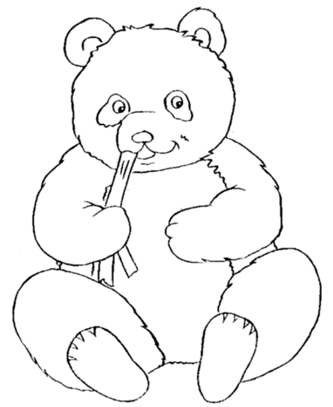 desenho de panda
