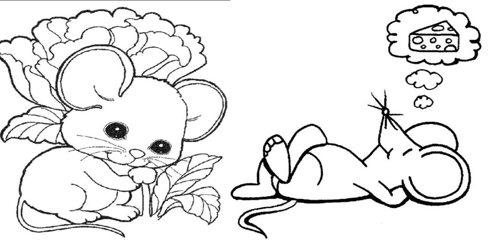 Desenho de Rato para colorir – Imagem e Molde para imprimir