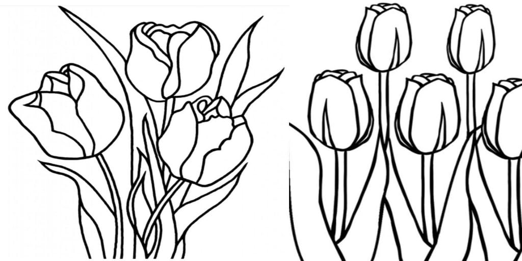 desenho de tulipa para colorir imagem molde