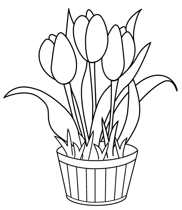 desenho de tulipa para pintar