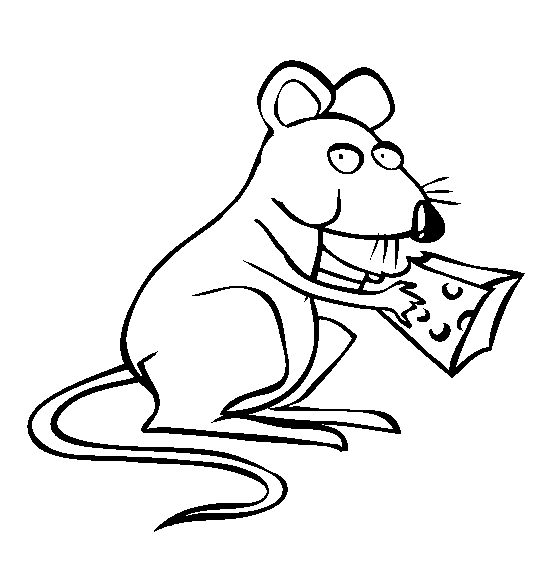 imagem de rato