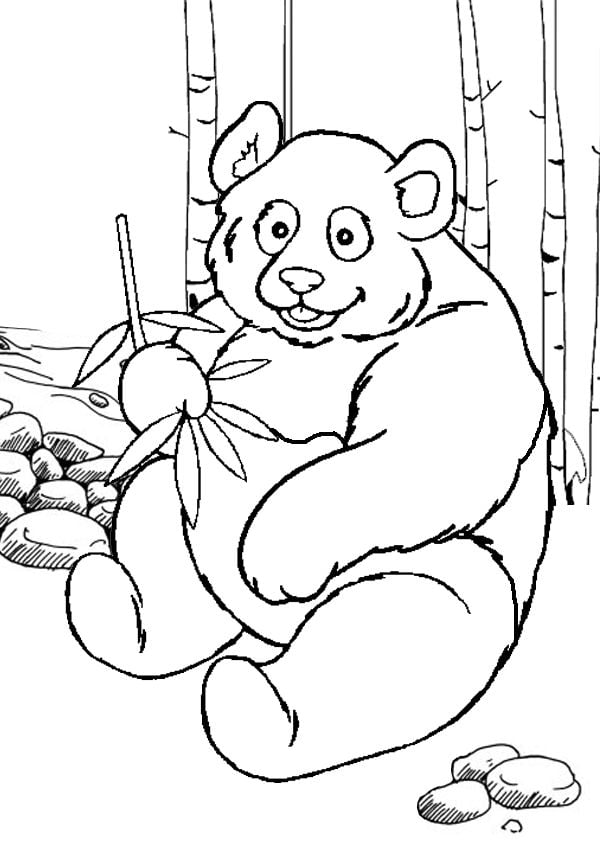 panda desenho