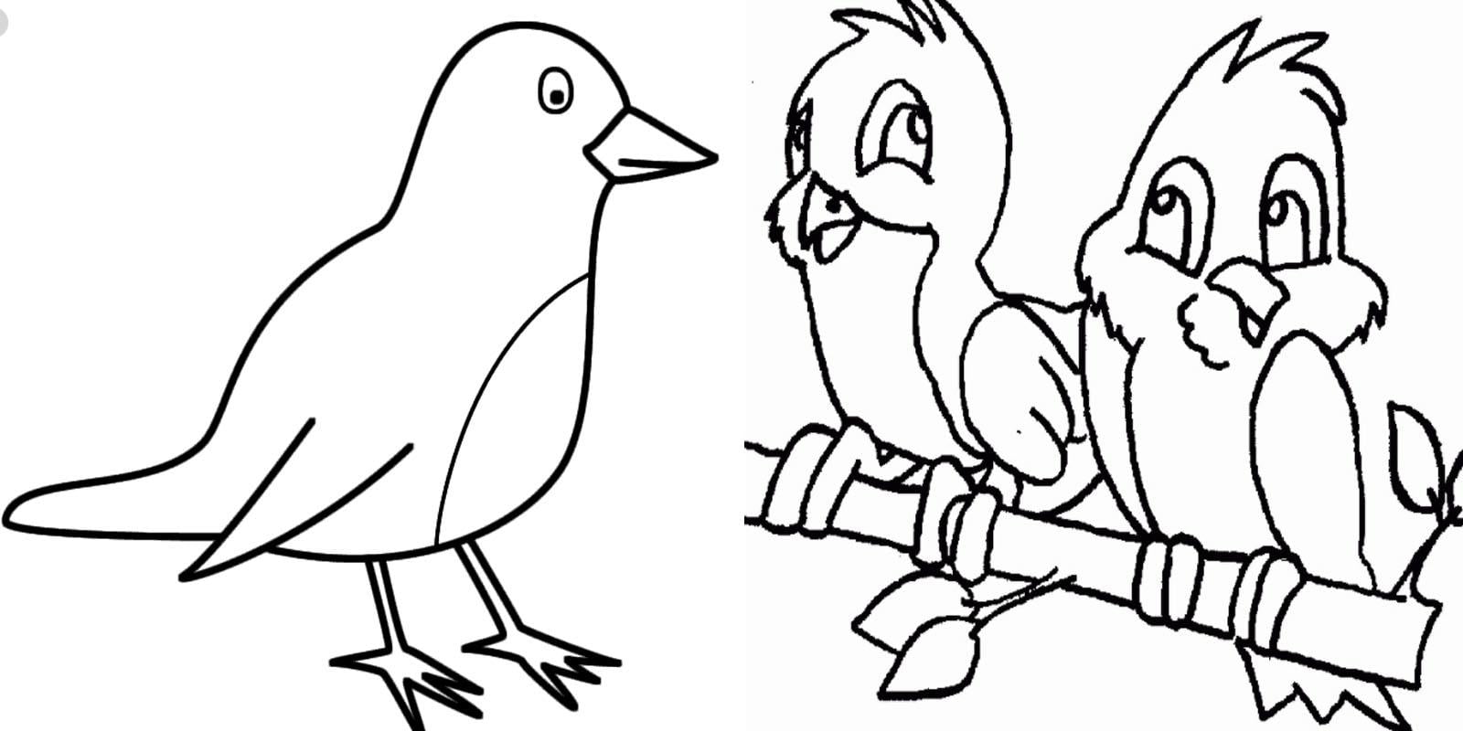 Desenho de Pássaro para colorir – Imagens e Passarinho para imprimir