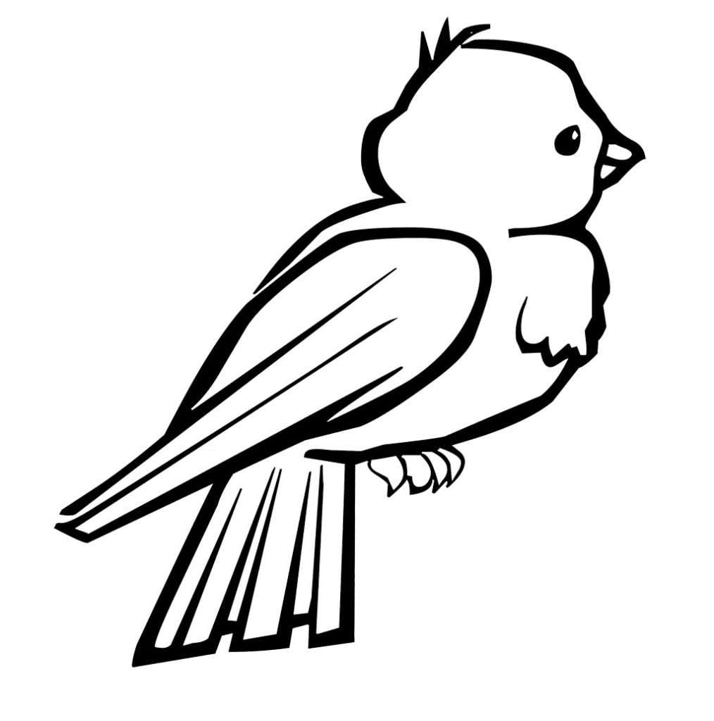 desenho de um passarinho