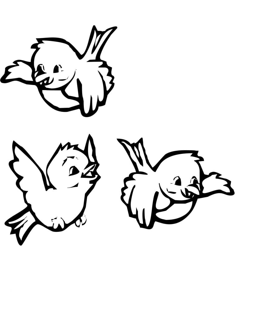 desenho passarinho