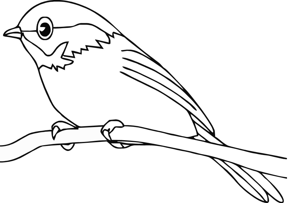 imagem de pássaro