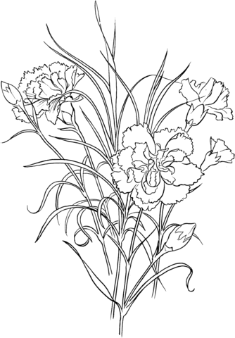 Desenho de azaleia para colorir
