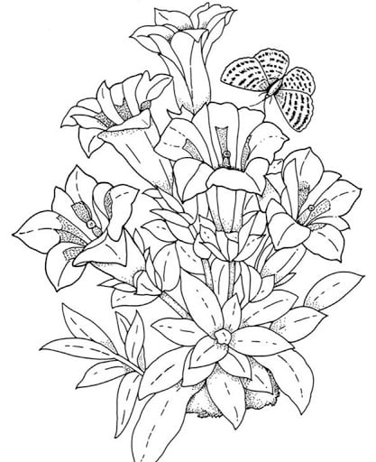 Desenho de azaleia para imprimir