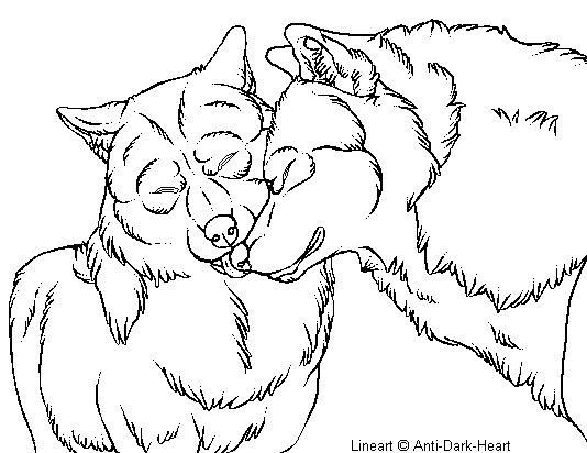 casal de lobos para pintar