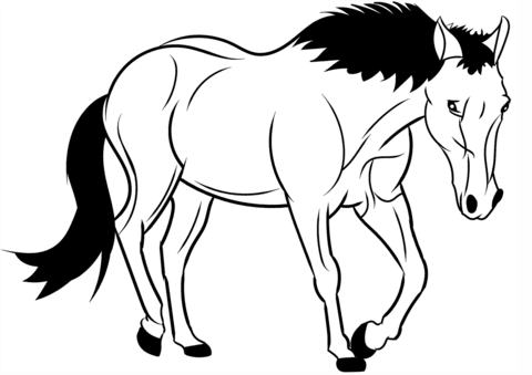 cavalo para desenhar