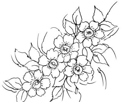 desenho de azaleia para desenhar e colorir