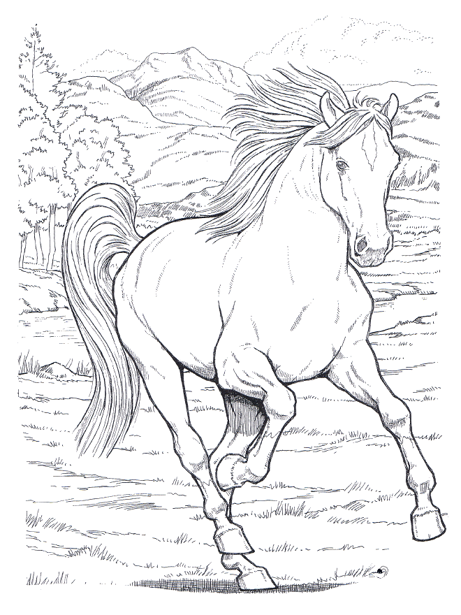 desenho de cavalo para colorir