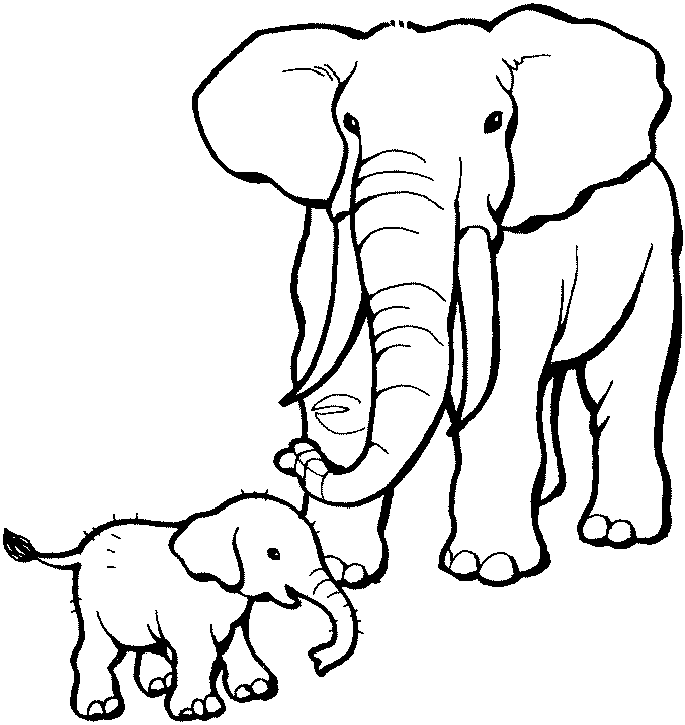 desenho de elefante para desenhar pintar