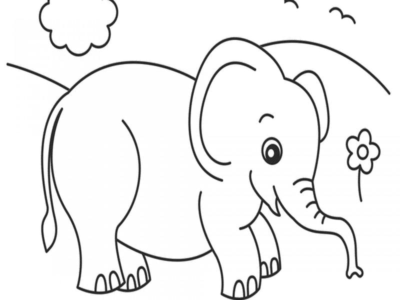 desenho de elefantinho para colorir e imprimir