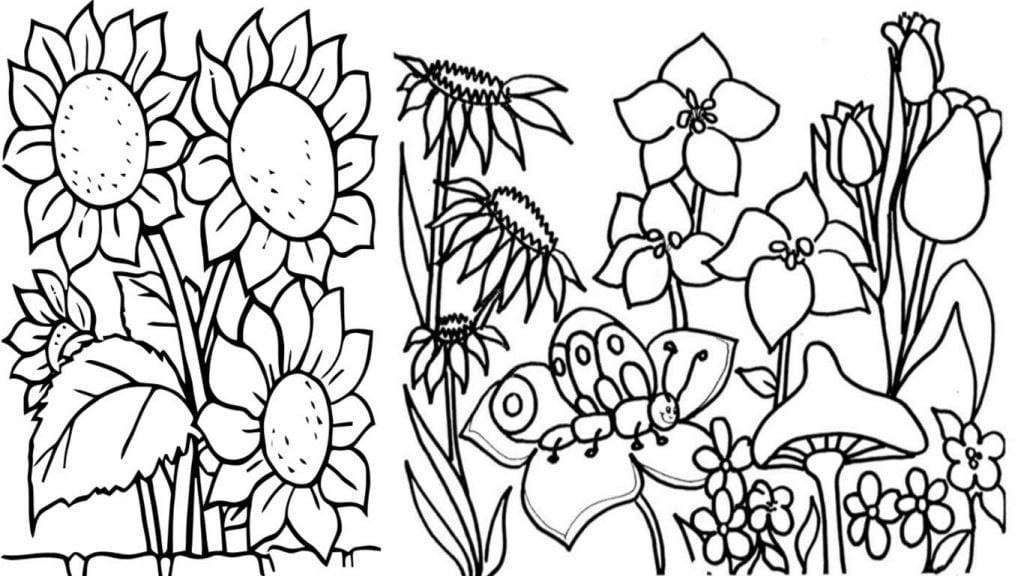 desenho de flores para colorir desenhar