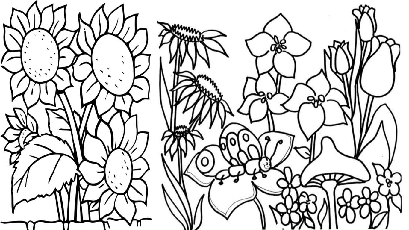 Desenho de Flores para colorir, desenhar e imprimir