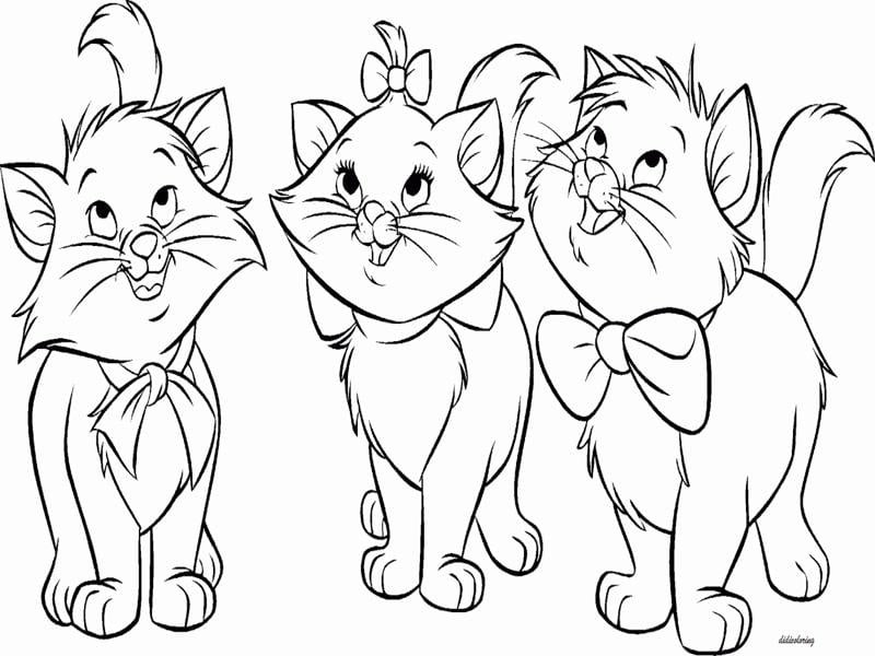 desenho de gatos para desenhar